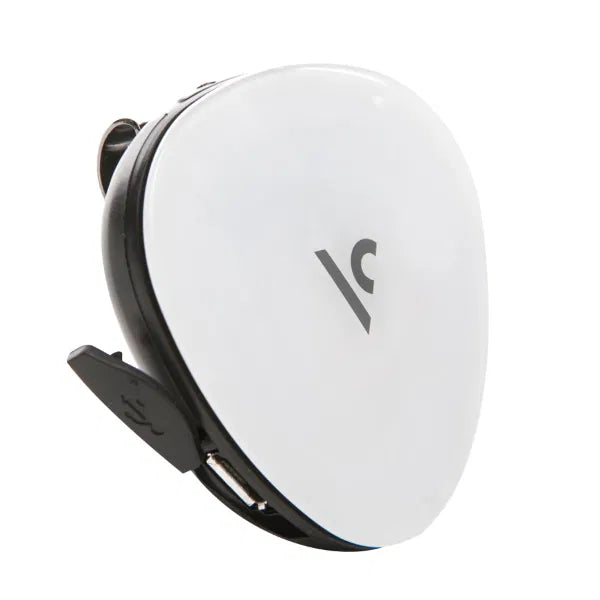 Voice Caddie